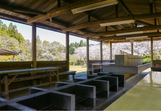 野外炊さん棟 桜の風景03